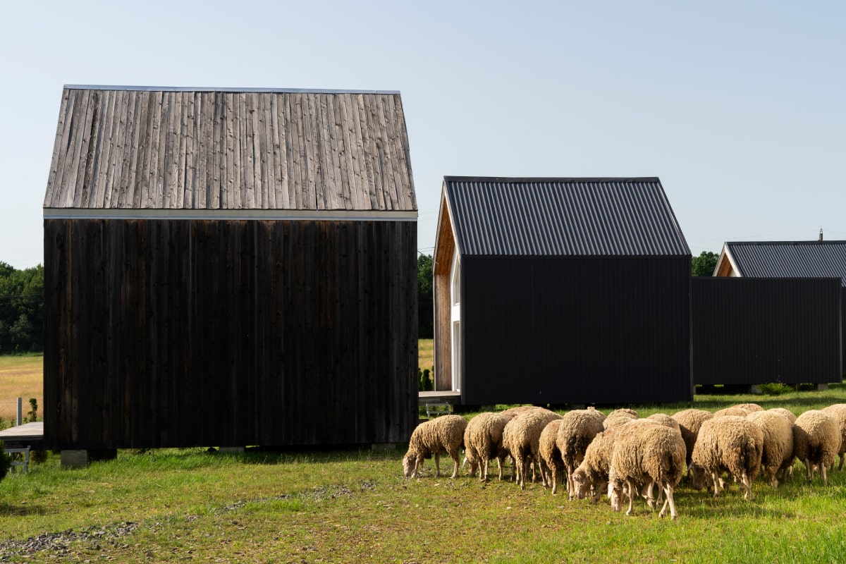 Cattle and Livestock Barns Spray Foam Insulation - Fayetteville, Ar